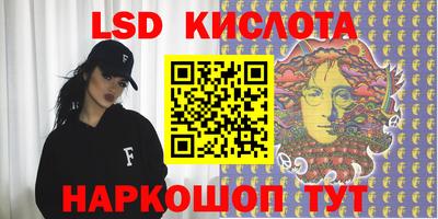прущие грибы Гатчина