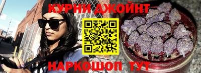 прущие грибы Гатчина