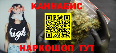 прущие грибы Гатчина