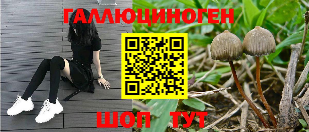 что такое   Вход с VPN  Нарткала  Псилоцибиновые грибы ЛСД  Псилоцибиновые грибы мухоморы 