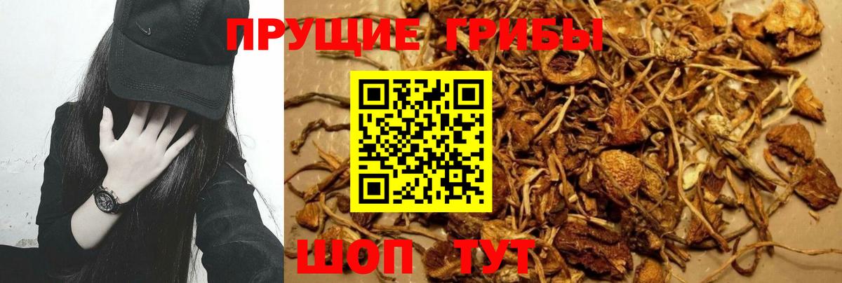 Галлюциногенные грибы MAGIC MUSHROOMS Нарткала